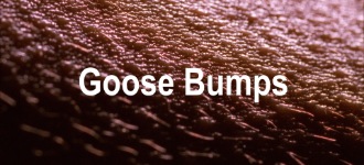 Goose Bumps